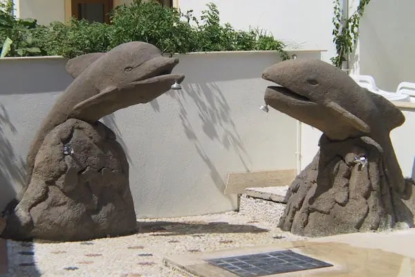 Zera Bodrum - Resim 10