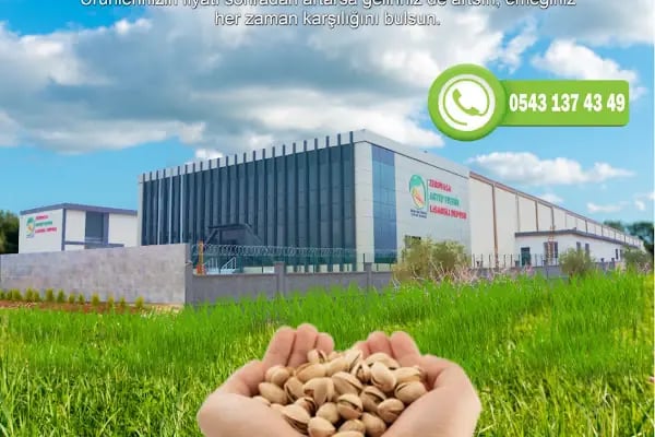 Zerovasa Antep fıstığı lisanslı deposu - Resim 6