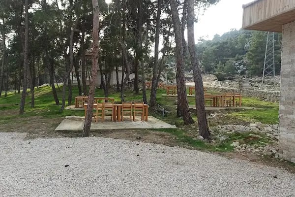 Daphne Restaurant - Resim 18