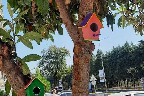 YENİ BALİKESİR SÜRÜCÜ KURSU - Resim 15