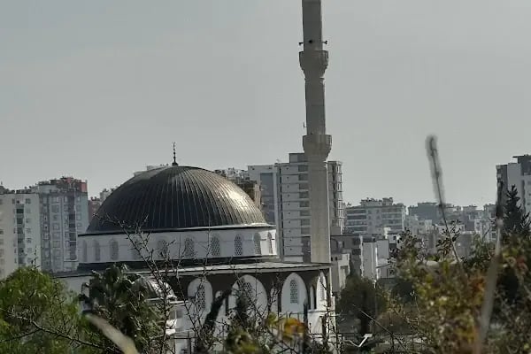 Yüzüncü Yıl Saygınlar Camii - Resim 4