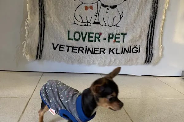 Lover Pet Veteriner Kliniği - Resim 7