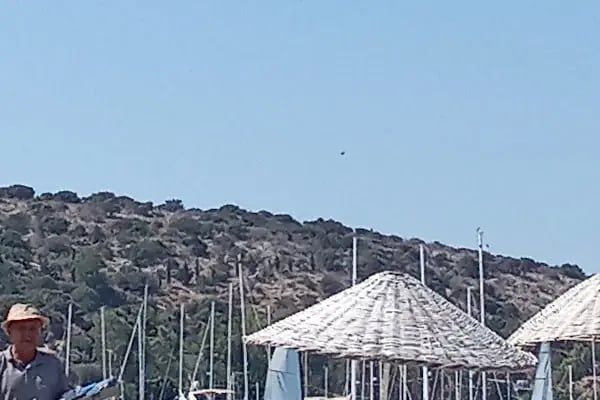 anthony's restaurant bodrum - Resim 9