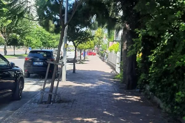 Antalya Kırgızistan Konsolosluğu - Resim 11