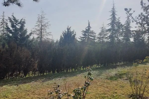 Ankara Merkezi ( Tatlar ) Atıksu Arıtma Tesisi - Resim 9