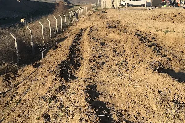 Ankara Merkezi ( Tatlar ) Atıksu Arıtma Tesisi - Resim 19