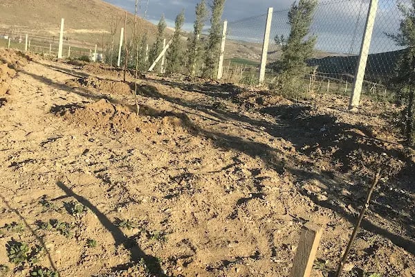 Ankara Merkezi ( Tatlar ) Atıksu Arıtma Tesisi - Resim 6