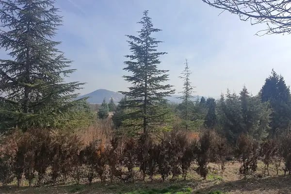 Ankara Merkezi ( Tatlar ) Atıksu Arıtma Tesisi - Resim 11