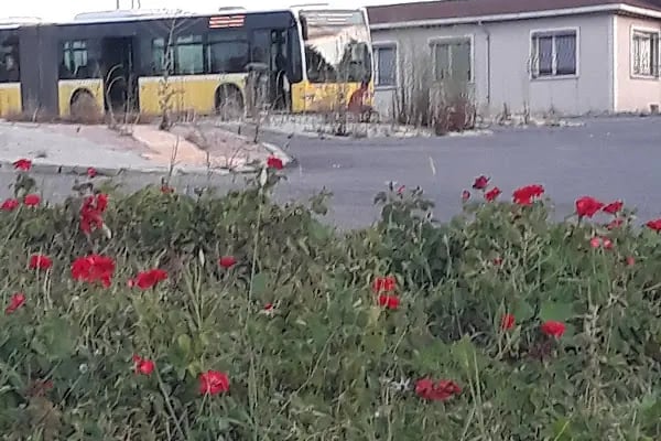 Taşoluk Peronlar - Resim 11