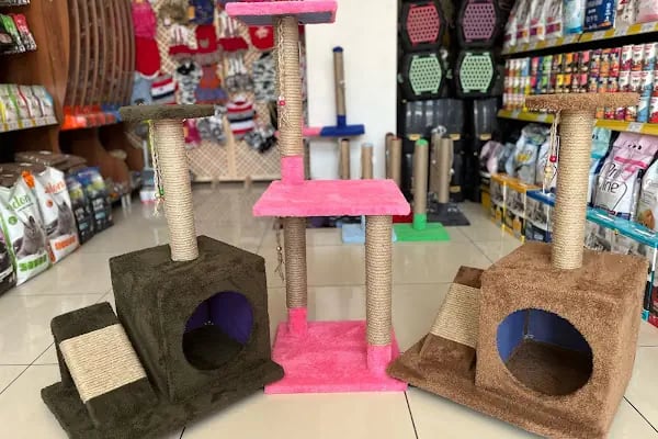 Kuter Petshop - Resim 8