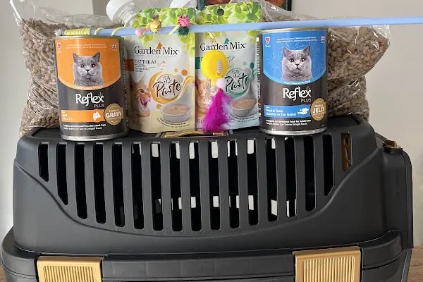 Kuter Petshop - Resim 3