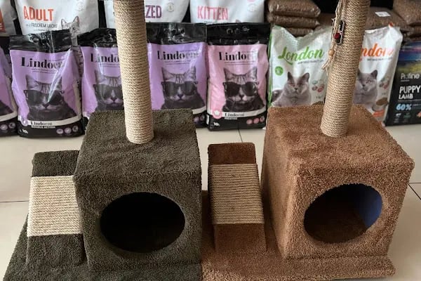 Kuter Petshop - Resim 5