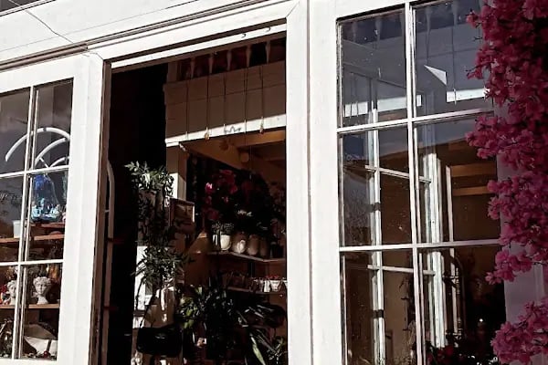 MİNA ÇİÇEK EVİ - Resim 2