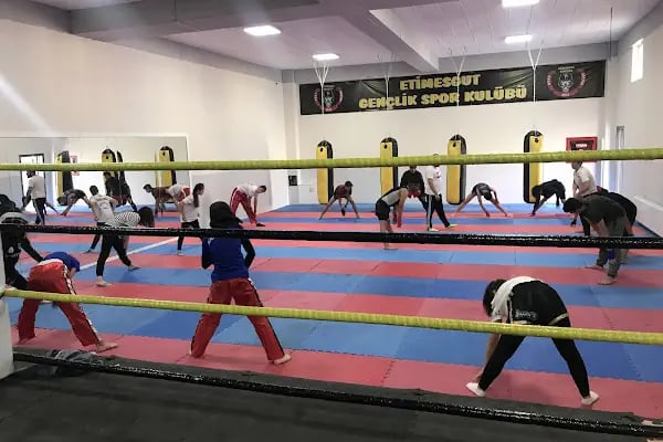 Etimesgut Gençlik Spor Kulübü - Resim 3