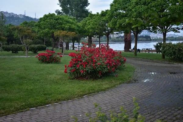 Kocaeli Büyükşehir Belediyesi Plaj Yolu Sahili - Resim 16