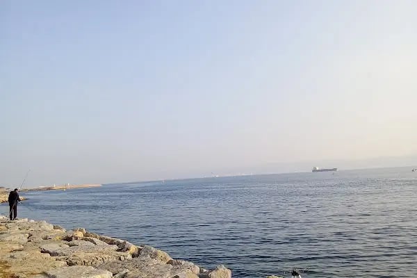 Kocaeli Büyükşehir Belediyesi Plaj Yolu Sahili - Resim 14