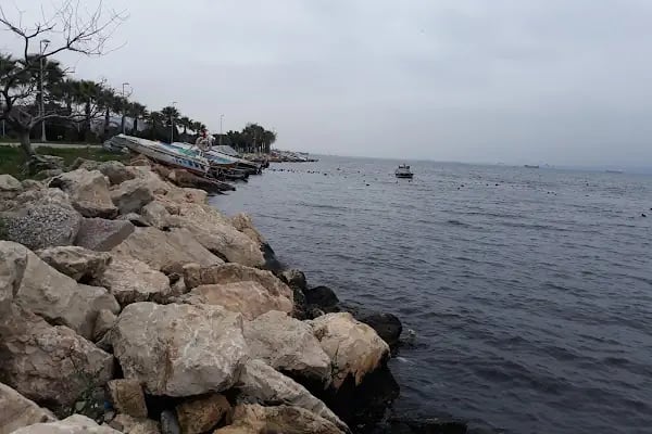 Kocaeli Büyükşehir Belediyesi Plaj Yolu Sahili - Resim 11