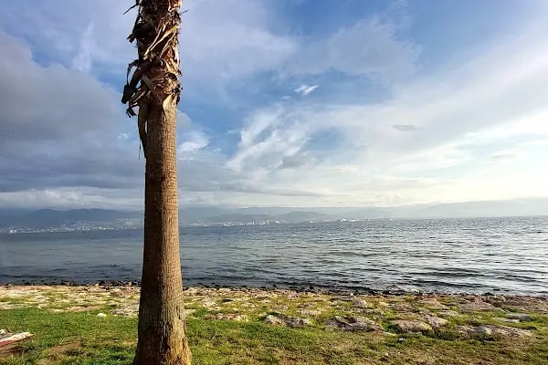 Kocaeli Büyükşehir Belediyesi Plaj Yolu Sahili - Resim 3