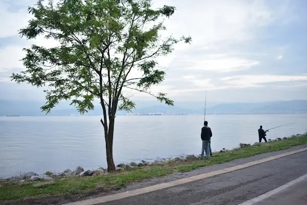 Kocaeli Büyükşehir Belediyesi Plaj Yolu Sahili - Resim 15