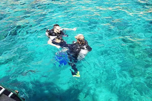 Aquapro Dive Center,Bitez,Bodrum - Resim 19