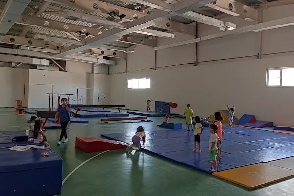 Artuklu Spor Salonu - Resim 4