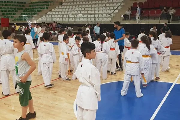 Artuklu Spor Salonu - Resim 8