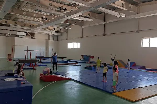 Artuklu Spor Salonu - Resim 1