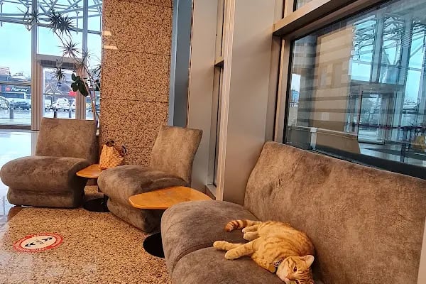 İsviçre Başkonsolosluğu - Resim 10
