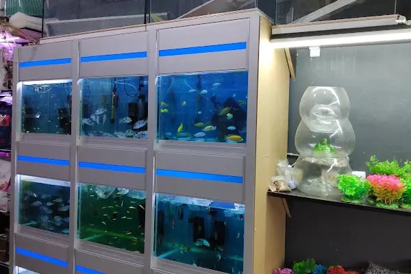 Damla Pet Shop - Resim 15
