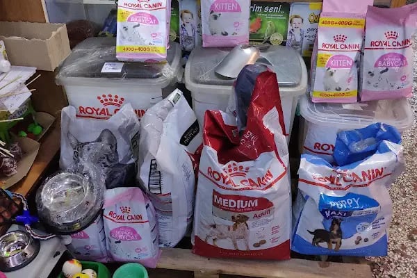 Damla Pet Shop - Resim 9