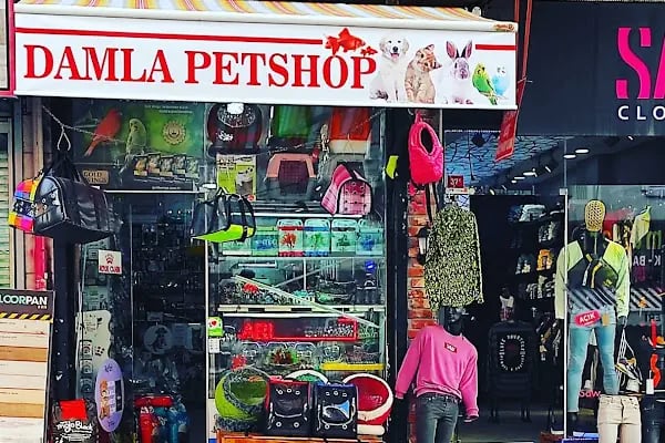 Damla Pet Shop - Resim 16