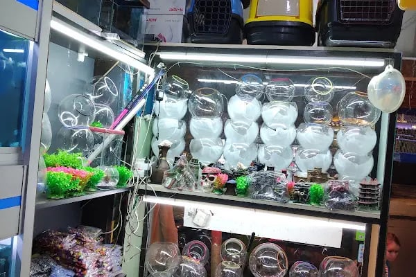 Damla Pet Shop - Resim 17