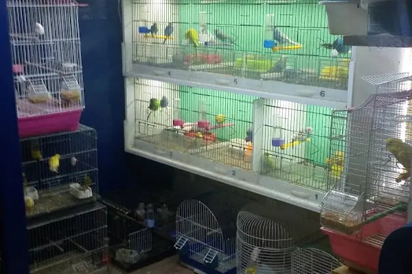 Damla Pet Shop - Resim 4