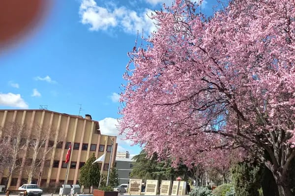 Hacettepe Üniversitesi Hastaneleri - Resim 10