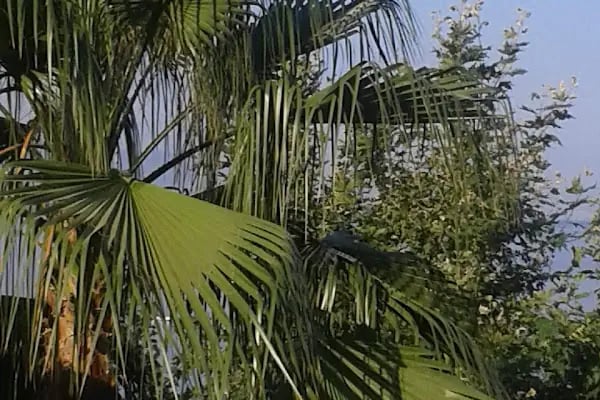 Orkent Sitesi - Resim 8