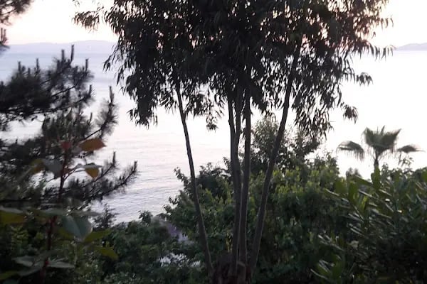 Orkent Sitesi - Resim 17