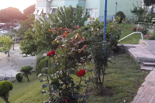 Orkent Sitesi - Resim 13