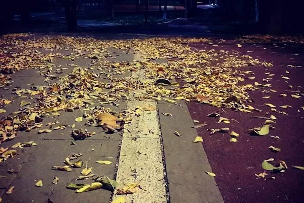 İçerenköy Parkı - Resim 19