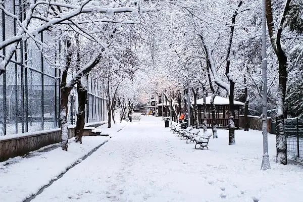 İçerenköy Parkı - Resim 6