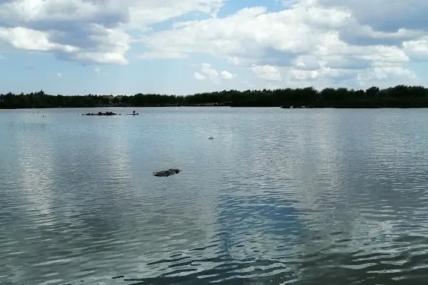 Tekirdağ Büyükşehir Belediyesi Gölbaşı Gençlik Parkı - Resim 9