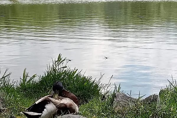 Tekirdağ Büyükşehir Belediyesi Gölbaşı Gençlik Parkı - Resim 6