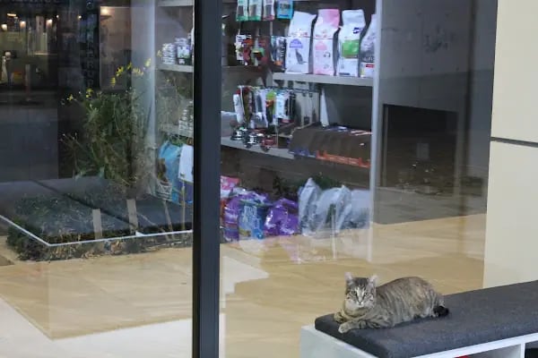 VetPraxis Veteriner Kliniği - Resim 8