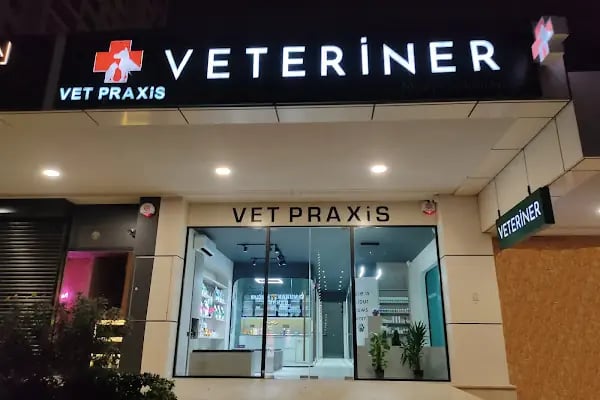 VetPraxis Veteriner Kliniği - Resim 10
