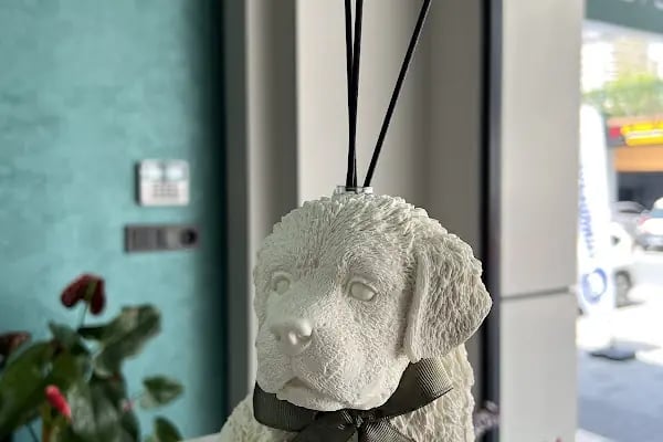 VetPraxis Veteriner Kliniği - Resim 14