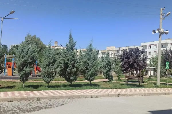 Zeytin Dalı Parkı - Resim 7