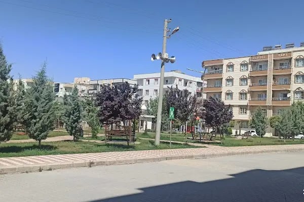 Zeytin Dalı Parkı - Resim 2