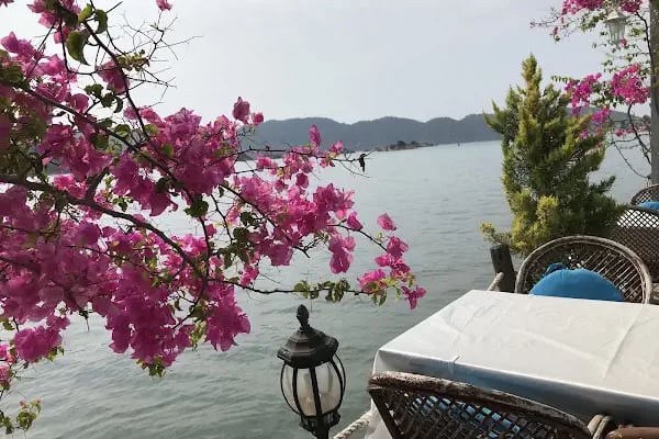 Kekova Theimussa Pension - Resim 4