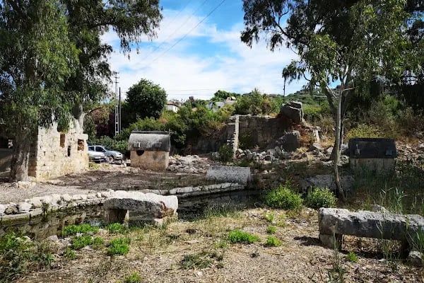 Kekova Theimussa Pension - Resim 19