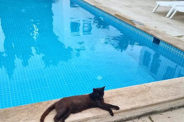 Ersoy 2 Sitesi - Resim 3