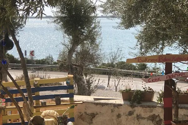 İskele Park - Resim 11